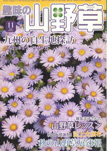 【趣味の山野草】2009.11 ★ 九州の自生地探訪 イトラッキョウ サザンカ　藤友正子さんの山野草レッスン