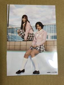 小嶋陽菜 宮澤佐江 AKB48 桜の木になろう 上新電機 店舗特典 生写真