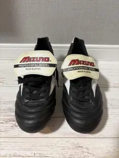 Mizuno モレリア取り替え式