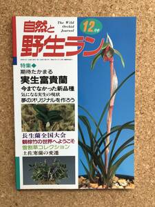 自然と野生ラン 1999年12月号　富貴蘭 長生蘭 観棕竹 雪割草 土佐寒蘭 ※ 園芸JAPAN