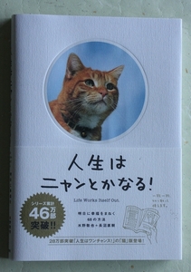 人生はニャンとかなる 水野敬也 長沼直樹