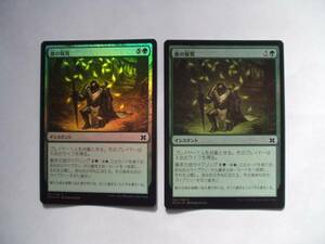 バイン　MTG 森の報奨/Sylvan Bounty foil 日本語3枚