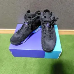 AIR JORDAN6 RETRO 26.5cm