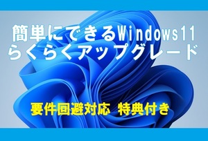 簡単にできる Windows11 らくらくア ッ プ グ レ ー ド ※２枚組 特典付き■要件回避対応