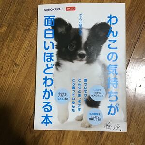 いぬのきもち わんこの気持ちが面白いほどわかる本　名前落書きあ　DAISO 冊子