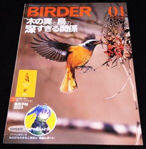 BIRDER（バーダー） 2023年1月号/木の実と鳥の深すぎる関係★ヒヨドリ　ケアシノスリ　わらびもちきなこ　野鳥　『鳥見手帖2023』付き