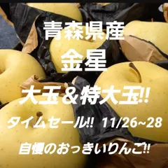 ★期間限定★青森県産 金星 希少 りんご 大＆特大玉 家庭用 6~8玉 ㉜