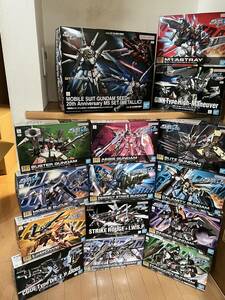 新品未開封 機動戦士ガンダムSEED RG・HGガンプラ 15点セット ガンダムSEED 20周年記念MSセット他　オマケあり