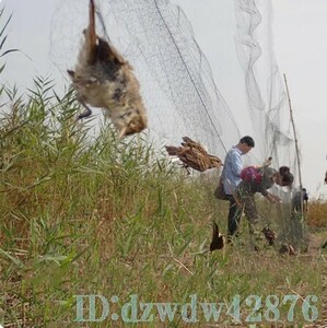 Ot1772: 網 防鳥 鳥よけ ネット カラス ハト スズメ 害虫駆除 動物 アウトドア 畑 野菜 果物 庭 ガード 保護 鳥 トリ 3ｍ×8ｍ等 防除