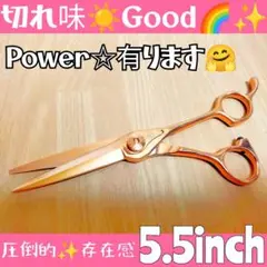 Power有ります☀ナルトシザー同様斜度付ハサミ美容師プロ用☀圧倒的存在感☀