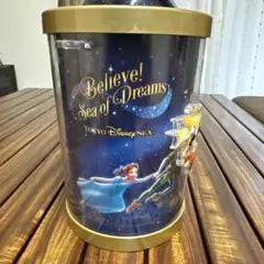 believe ディズニーポップコーンバケット