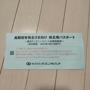 東京ディズニーリゾート　チケット（株主用パスポート)２枚セット 有効期限2025年１月末