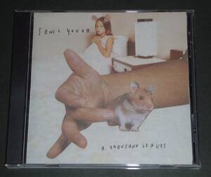 Sonic-Youth / A Thousand Leaves