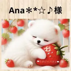 ❤︎ Ana＊*☆♪様 ❤︎専用