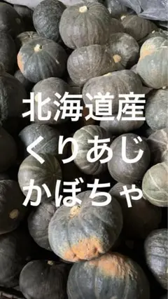 北海道産くりあじかぼちゃ