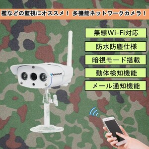 屋外 IP67 防水 赤外線 ネットワークカメラ 1080P