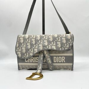 1円 ◎大人気◎ Christian Dior クリスチャンディオール SADDLE サドル ショルダーバッグ スリムポーチ オブリーク トロッター フラップ　