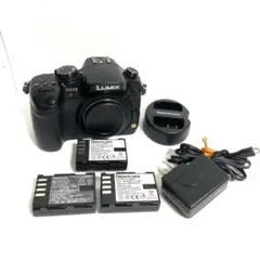 パナソニック Panasonic LUMIX DMC-GH3 ボディ