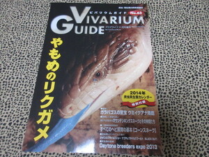 ビバリウムガイド 63号 やもめのリクガメ　付録無し