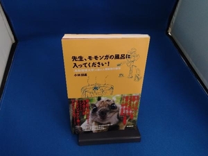 先生、モモンガの風呂に入ってください! 小林朋道