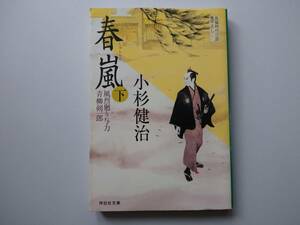 小杉健治著　風烈廻り与力　青柳剣一郎　19　春嵐　下　同梱可能