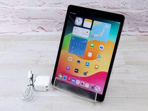 Sランク Apple iPad MW742J/A(第7世代) 10.2インチRetinaディスプレイ 32GB スペースグレイ