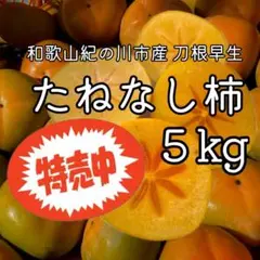 ★今日まで特売★和歌山産 【約5KG・刀根柿】   農家直送 家庭用訳あり品