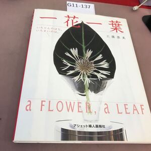 G11-137 一花一葉 工藤亜美 アシェット婦人画報社 記名塗り潰し多数有り