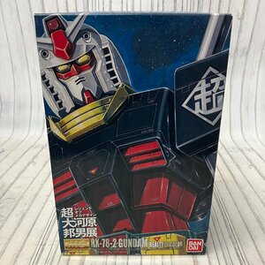 s001 W2(80) 未組立 バンダイ ガンダム プラモデル MG RX-78-2 超 大河原邦男展 1/100 ガンプラ 保管品