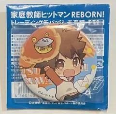 家庭教師ヒットマンREBORN! 沢田綱吉　ツナ　缶バッジ　未来編