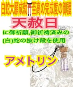 商売繁盛✨恋愛運✨仕事運✨金運✨蛇の抜け殻✨白蛇のお守り【天赦日ご祈祷済み】CB