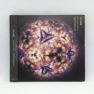 サインあり◇チコ本田/ライヴ アット ラブリー バラッドナイト (CD) KUKU-0005