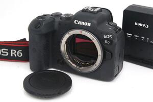 訳有品｜キヤノン EOS R6 ボディ CA01-A8700-2S3-ψ