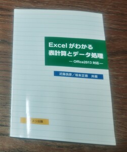 ★送料無料★Excelがわかる表計算とデータ処理/近藤良彦/坂本正徳共著/ムイスリ出版/定価1870円