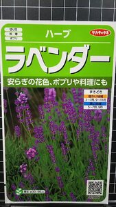 ３袋セット ラベンダー ポプリ ハーブ 種 郵便は送料無料