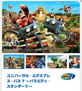 ユニバーサルスタジオジャパン　usj ドンキーコング　エクスプレスパス7 バラエティスタンダード　1名分