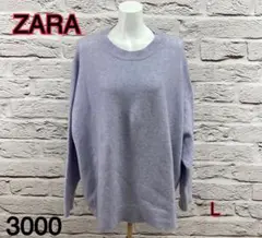 ☆7118T☆ ZARA セーター