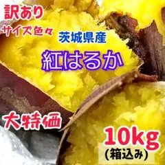 茨木県産訳あり規格外紅はるか10kg