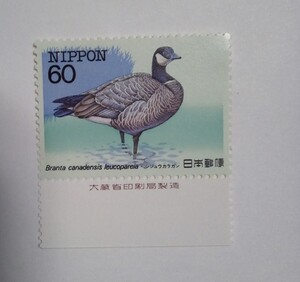 昭和58年 特殊鳥類シリーズ 第2集 シジュウカラガン 60円 1枚/大蔵省銘版付/額面60円/未使用/1983年/銘付/四十雀雁/切手