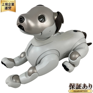 SONY ソニー ERS-1000 AIBO アイボ バーチャルペット ロボット ペット 中古 良好 N9644157