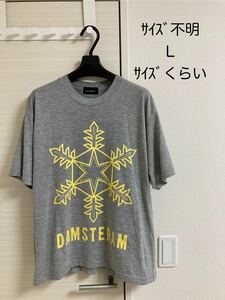 値下不可 グランドキャニオン DAMSTERAM Tシャツ Lサイズ