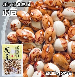 虎豆 1kg 豆力 北海道 高級菜豆 インゲン豆 とらまめ 国産 乾燥豆 国内産 豆類 和風食材 生豆 煮豆