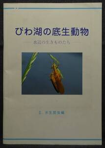 【超希少】【美品】古本　びわ湖の底生動物　Ⅱ．水生昆虫編　―水辺の生きものたち―　編集：西野麻知子　滋賀県琵琶湖研究所