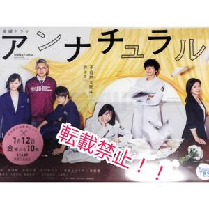 未使用☆石原さとみ★窪田正孝★市川実日子★クリアファイル A4サイズ★ドラマ アンナチュラル★井浦新★薬師丸ひろ子★松重豊★非売品