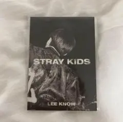 straykids リノ in生 ミニフォトブック