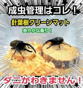 カブトムシの成虫飼育専用☆爽やかな香りの針葉樹クリーンマット☆コバエ、ダニが湧きません！ケース内が明るくなり生体がかっこ良く見える