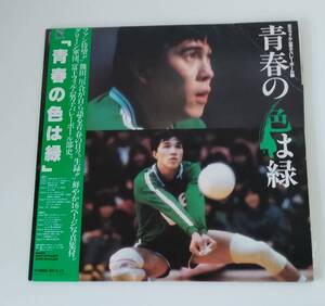 【☆JNー0357】★中古品★レコード　LP★青春の色は緑☆HY