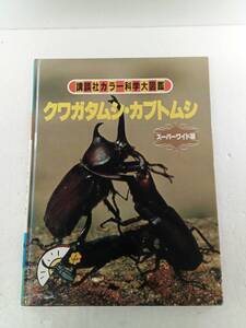 クワガタムシ・カブトムシ　講談社カラー科学大図鑑　スーパーワイド版　図鑑　クワガタ　カブト　240530