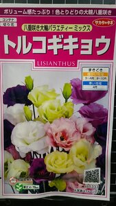 ３袋セット トルコギキョウ 八重咲き 大輪 トルコ キキョウ 桔梗 種 郵便は送料無料