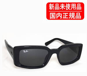 RB4395F 667787 54-21 KILIANE BIO-BASED 国内正規品 新品未使用 Ray-Ban レイバン 正規保証書付き